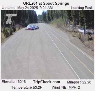 ORE204 at Spout Springs